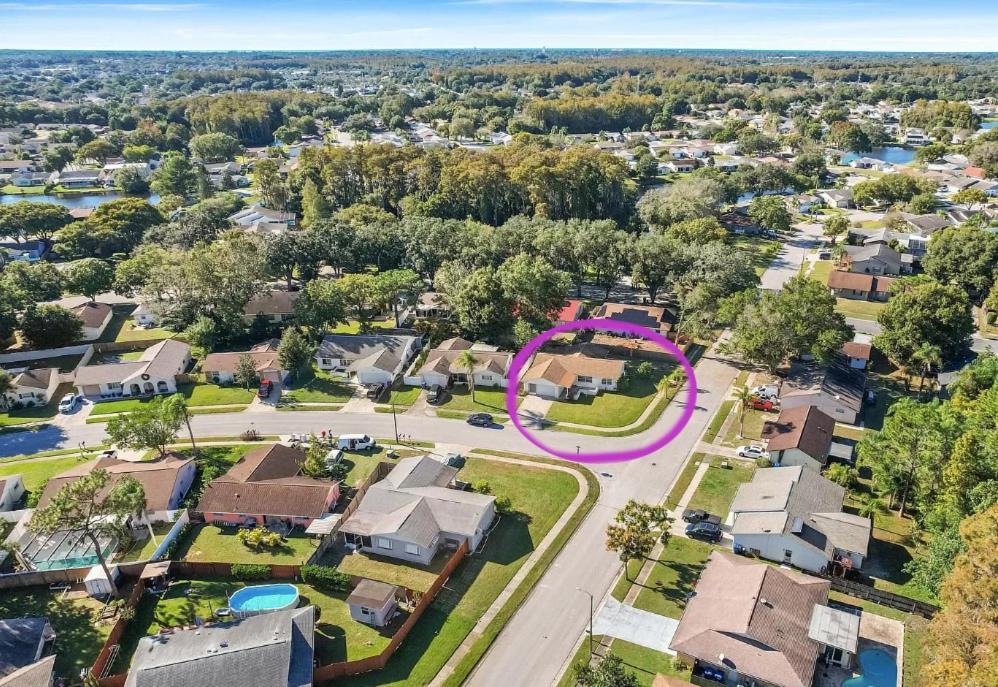 Villa "Impressa" - Billiard,Ping-Pong Table, Lanai, Fire Pit, Bbq Grill, View, Patio, Back Yard New Port Richey Exteriör bild