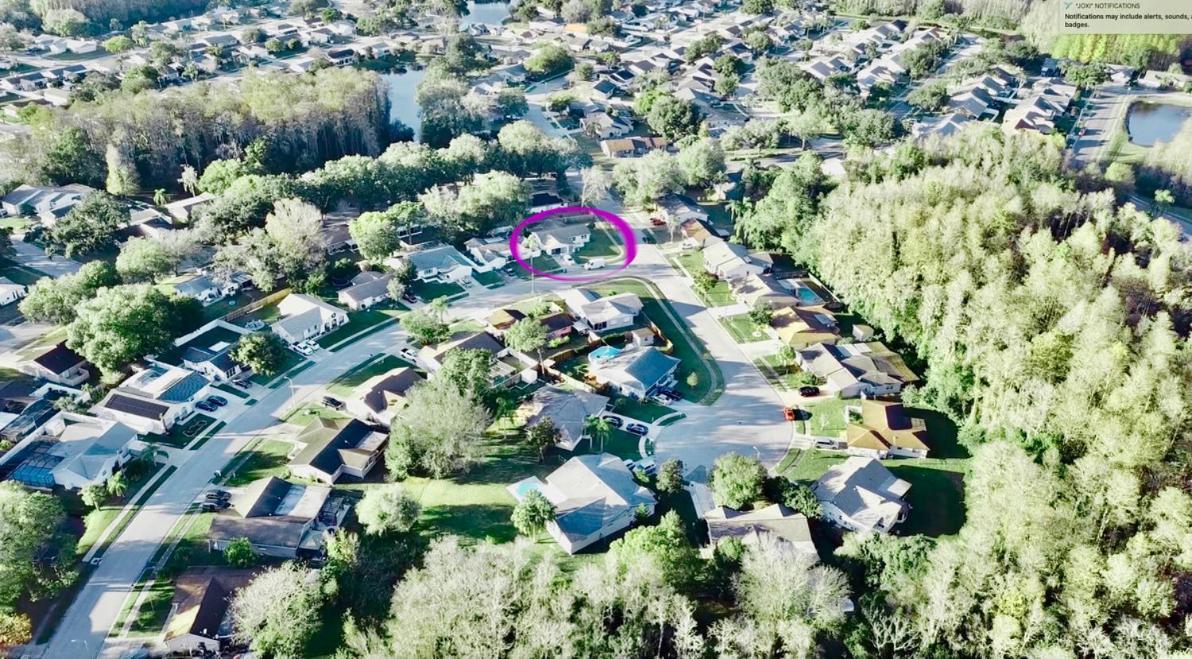 Villa "Impressa" - Billiard,Ping-Pong Table, Lanai, Fire Pit, Bbq Grill, View, Patio, Back Yard New Port Richey Exteriör bild